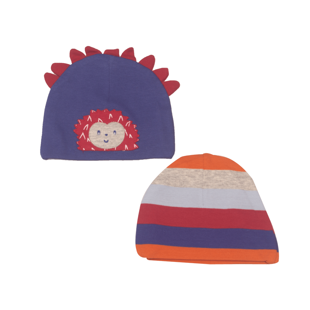 Pack Gorros 2 Pcs Bebé Niño Multicolor