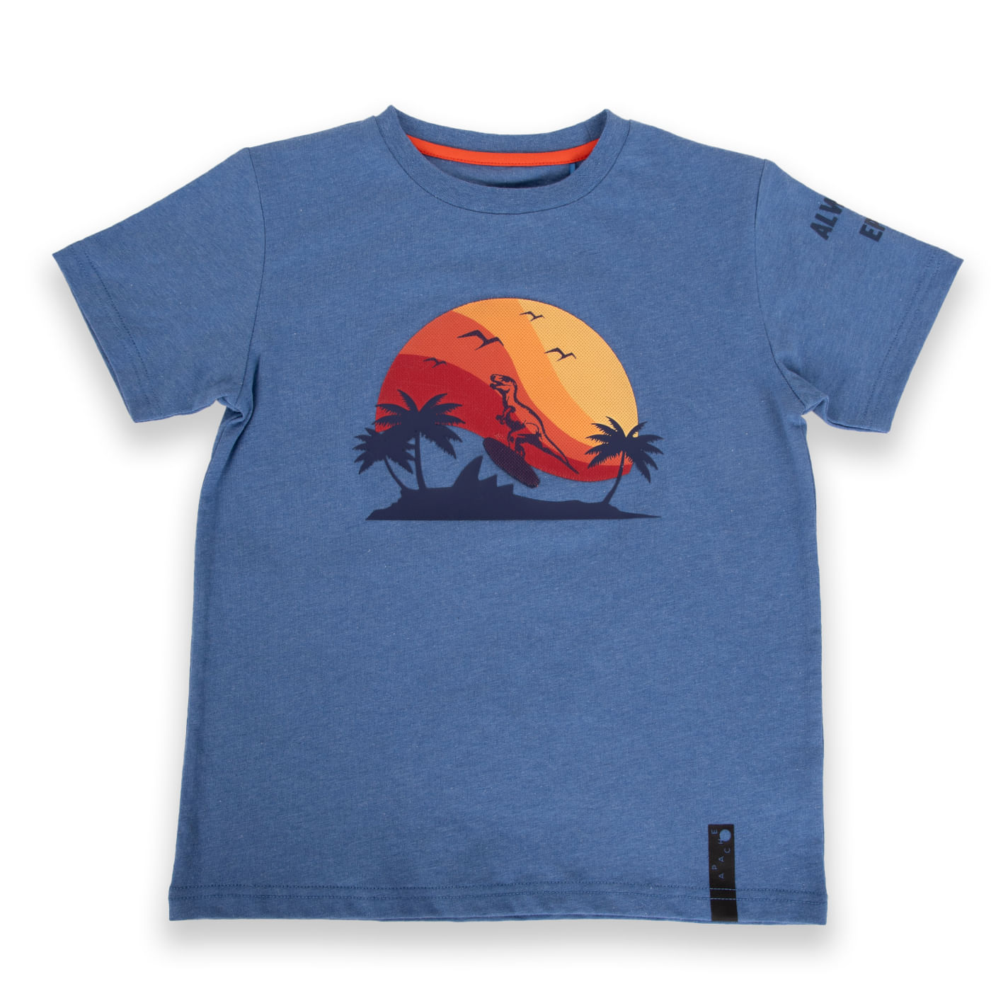 Polera Niño Azul